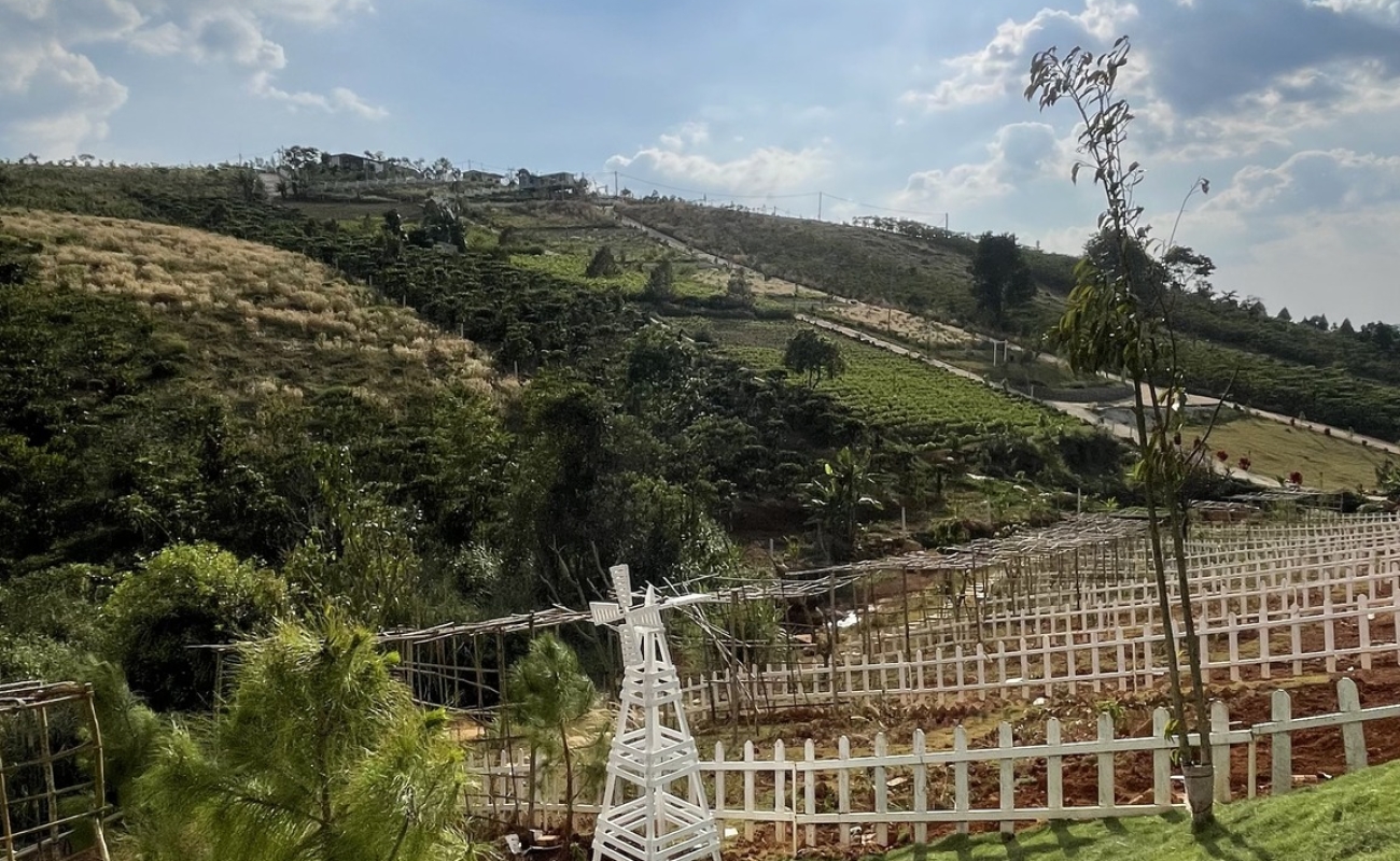 NHÀ ĐẸP BẢO LỘC