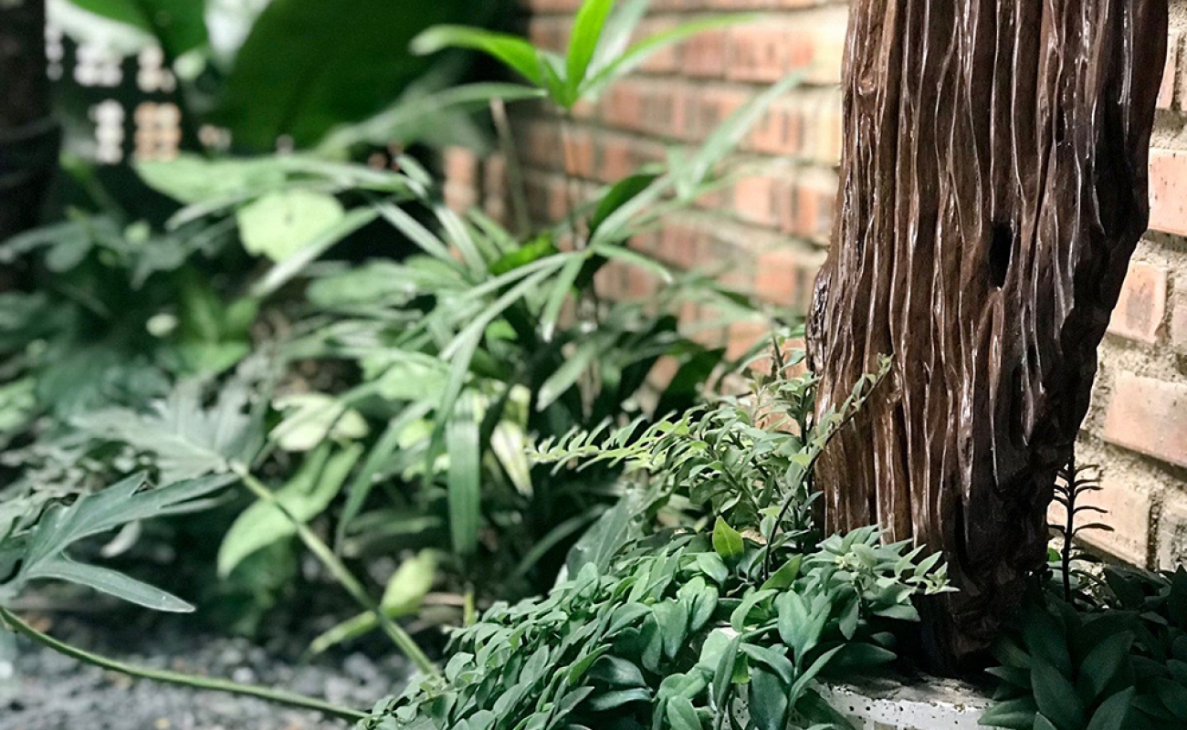 NHÀ ĐẸP BẢO LỘC