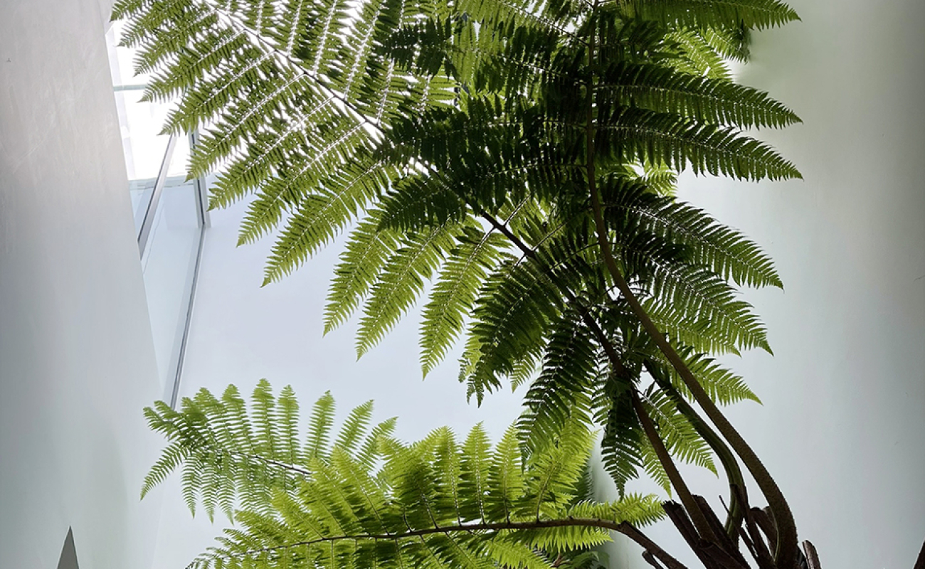 NHÀ ĐẸP BẢO LỘC