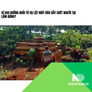 Vì sao không khởi tố vụ lật máy đào gây chết người tại Lâm Đồng?