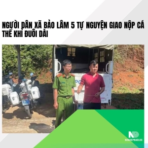 Người dân xã Bảo Lâm 5 tự nguyện giao nộp cá thể khỉ đuôi dài