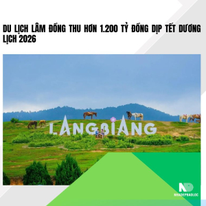 Du lịch Lâm Đồng thu hơn 1.200 tỷ đồng dịp Tết Dương lịch 2026