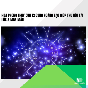 Hoa phong thủy của 12 cung hoàng đạo giúp thu hút tài lộc &amp; may mắn