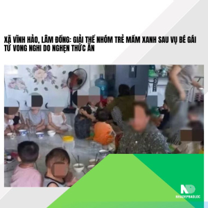 Xã Vĩnh Hảo, Lâm Đồng: Giải thể nhóm trẻ Mầm Xanh sau vụ bé gái tử vong nghi do nghẹn thức ăn