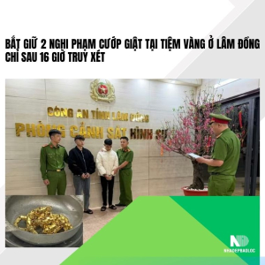 Bắt giữ 2 nghi phạm cướp giật tại tiệm vàng ở Lâm Đồng chỉ sau 16 giờ truy xét