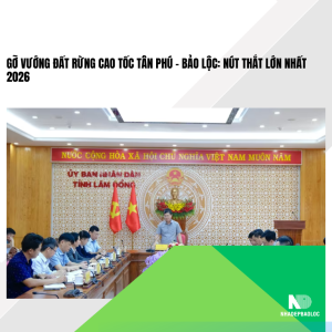 Gỡ vướng đất rừng cao tốc Tân Phú – Bảo Lộc: Nút thắt lớn nhất 2026
