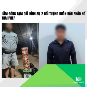 Lâm Đồng tạm giữ hình sự 2 đối tượng buôn bán pháo nổ trái phép