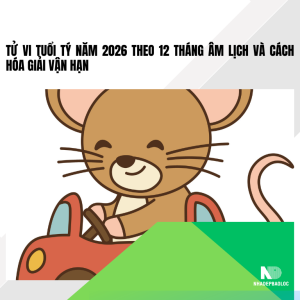 Tử vi tuổi Tý năm 2026 theo 12 tháng âm lịch và cách hóa giải vận hạn
