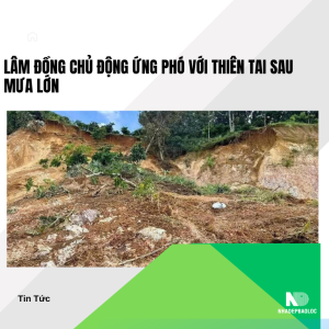 Lâm Đồng chủ động ứng phó với thiên tai sau mưa lớn