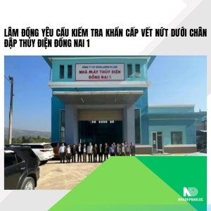 Lâm Đồng yêu cầu kiểm tra khẩn cấp vết nứt dưới chân đập thủy điện Đồng Nai 1