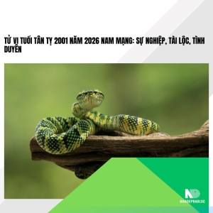 Tử vi tuổi Tân Tỵ 2001 năm 2026 nam mạng: Sự nghiệp, tài lộc, tình duyên