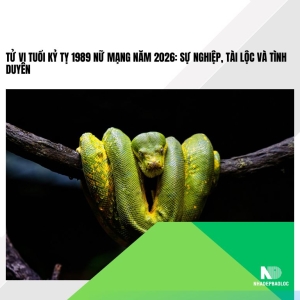 Tử vi tuổi Kỷ Tỵ 1989 nữ mạng năm 2026: Sự nghiệp, tài lộc và tình duyên