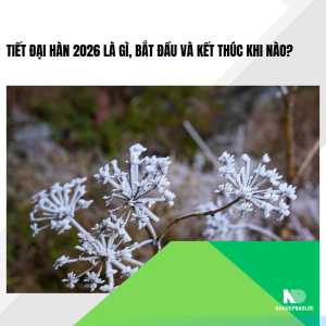 Tiết Đại Hàn 2026 là gì, bắt đầu và kết thúc khi nào?