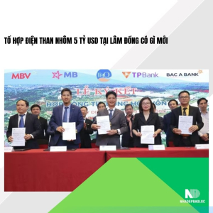 Tổ hợp điện than nhôm 5 tỷ USD tại Lâm Đồng có gì mới