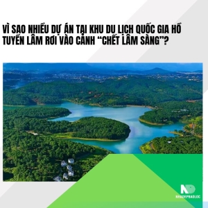 Vì sao nhiều dự án tại hồ Tuyền Lâm rơi vào cảnh “chết lâm sàng”?