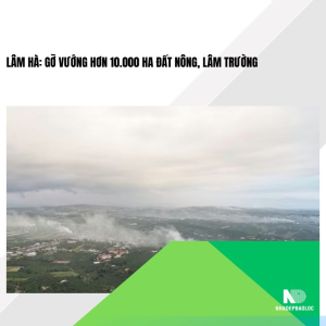 Lâm Hà: Gỡ vướng hơn 10.000 ha đất nông, lâm trường