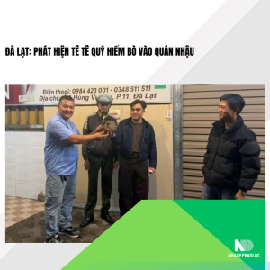 Đà Lạt: Phát hiện tê tê quý hiếm bò vào quán nhậu