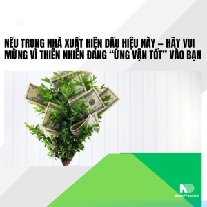 Nếu Trong Nhà Xuất Hiện Dấu Hiệu Này — Hãy Vui Mừng Vì Thiên Nhiên Đang “Ứng Vận Tốt” Vào Bạn