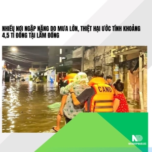 Nhiều nơi ngập nặng do mưa lớn, thiệt hại ước tính khoảng 4,5 tỉ đồng tại Lâm Đồng