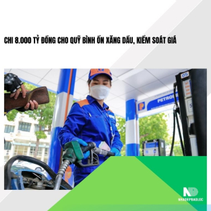 Chi 8.000 tỷ đồng cho Quỹ bình ổn xăng dầu, kiểm soát giá