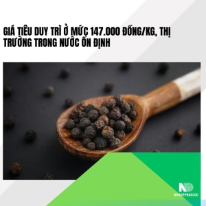 Giá tiêu duy trì ở mức 147.000 đồng/kg, thị trường trong nước ổn định