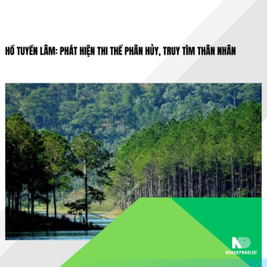 Hồ Tuyền Lâm: Phát hiện thi thể phân hủy, truy tìm thân nhân