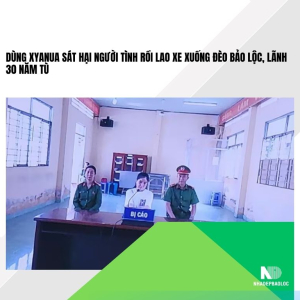 Dùng xyanua sát hại người tình rồi lao xe xuống đèo Bảo Lộc, lãnh 30 năm tù