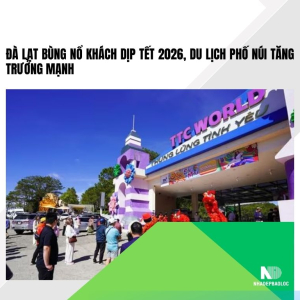 Đà Lạt bùng nổ khách dịp Tết 2026, du lịch phố núi tăng trưởng mạnh