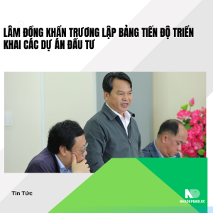 Lâm Đồng khẩn trương lập bảng tiến độ triển khai các dự án đầu tư