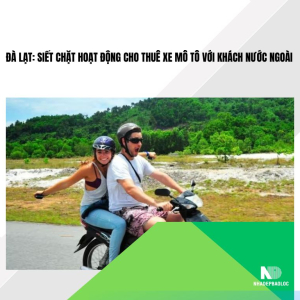 Đà Lạt: Siết chặt hoạt động cho thuê xe mô tô với khách nước ngoài