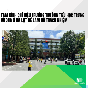 Tạm đình chỉ Hiệu trưởng Trường Tiểu học Trưng Vương ở Đà Lạt để làm rõ trách nhiệm