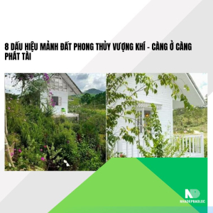 8 Dấu Hiệu Mảnh Đất Phong Thủy Vượng Khí