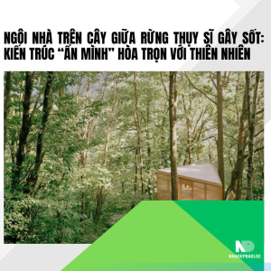 Ngôi nhà trên cây giữa rừng Thụy Sĩ gây sốt: Kiến trúc “ẩn mình” hòa trọn với thiên nhiên