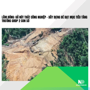 Lâm Đồng: Gỡ nút thắt công nghiệp - xây dựng để đạt mục tiêu tăng trưởng GRDP 2 con số