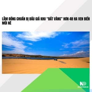 Lâm Đồng chuẩn bị đấu giá khu “đất vàng” hơn 48 ha ven biển Mũi Né