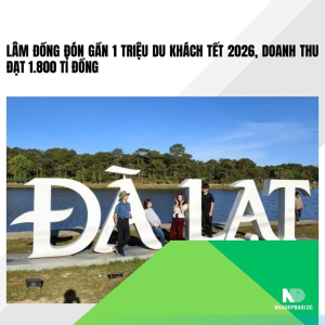 Lâm Đồng đón gần 1 triệu du khách Tết 2026, doanh thu đạt 1.800 tỉ đồng