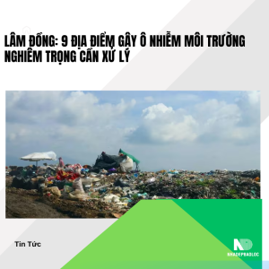 Lâm Đồng: 9 địa điểm gây ô nhiễm môi trường nghiêm trọng cần xử lý