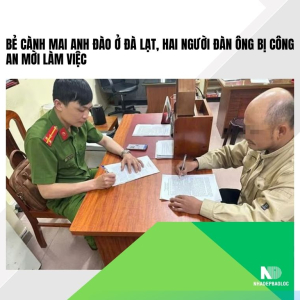 Bẻ cành mai anh đào ở Đà Lạt, hai người đàn ông bị công an mời làm việc