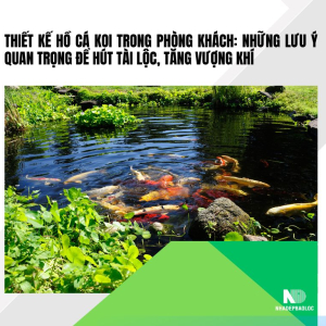 Thiết kế hồ cá Koi trong phòng khách: Những lưu ý quan trọng để hút tài lộc, tăng vượng khí
