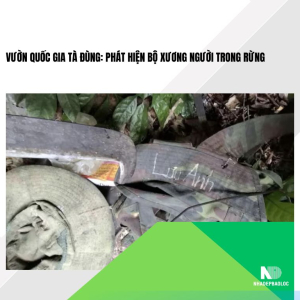 Vườn quốc gia Tà Đùng: Phát hiện bộ xương người trong rừng