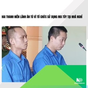 Hai thanh niên lãnh án tù vì tổ chức sử dụng ma túy tại nhà nghỉ