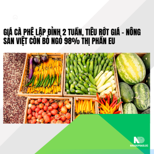 Giá cà phê 4/10 lập đỉnh 2 tuần, tiêu rớt giá – Nông sản Việt còn bỏ ngỏ 98% thị phần EU