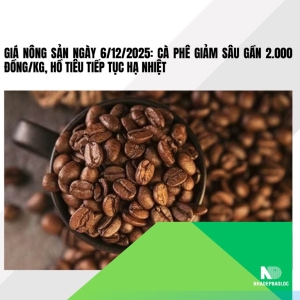 Giá nông sản ngày 6/12/2025: Cà phê giảm sâu gần 2.000 đồng/kg, hồ tiêu tiếp tục hạ nhiệt
